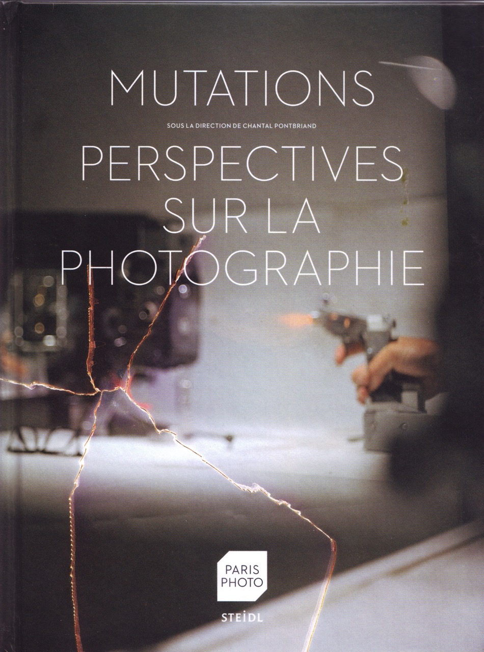 Antiphotojournalism. strategies of the visible and the invisible (2011)